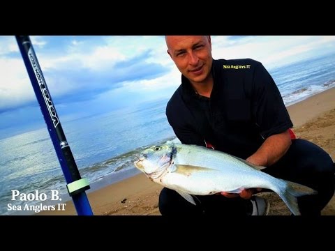 🎥Video: Orate big a Bosa marina, ecco come!