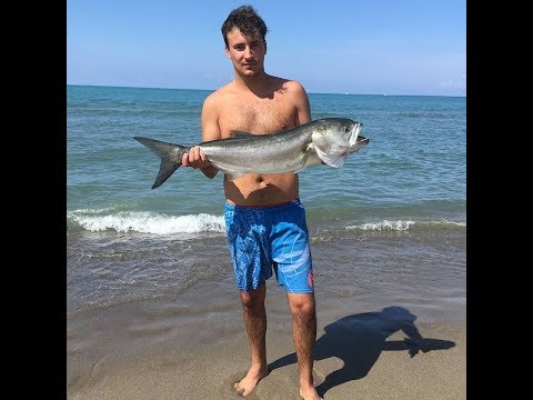 🎥Video: Pesce serra di oltre 5kg - Attenzione all'esca