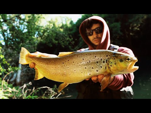 🎥Video: Trote a Jerk in Fiume vicino Roma - Bellissimo